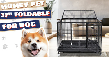 Tips for Setting Up a Dog Crate