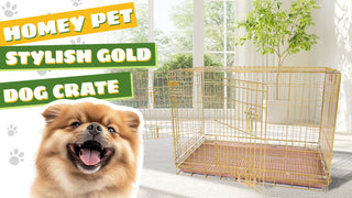 Why Invest in a Cage for Your Dog