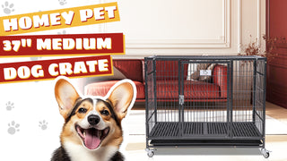 Homey Pet Dog Crates: Comfort and Security for Your Pet