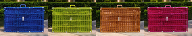 Colored Wire Dog Crates