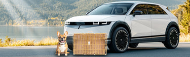 24" Dog Crates