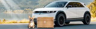 24" Dog Crates