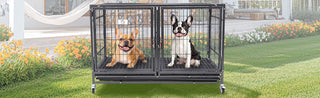 43" Dog Crate