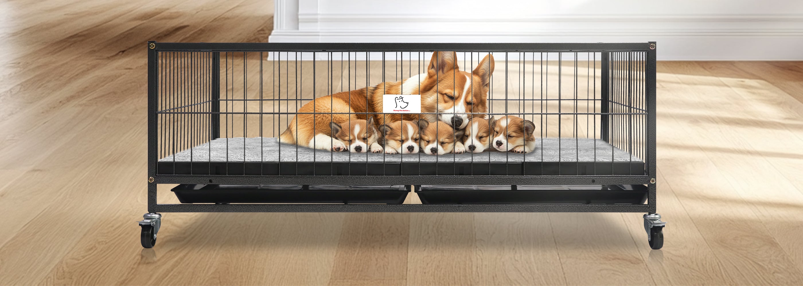 Portable Dog Crate Pettycare 42 Inch Collapsible